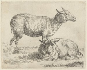 Standing and Lying Sheep by Nicolaes Pietersz Berchem