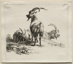 Three Goats by Nicolaes Pietersz. Berchem