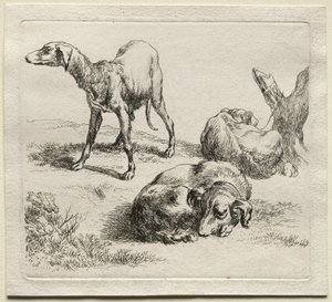 Three Hunting Dogs by Nicolaes Pietersz. Berchem