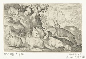 Rabbits, Squirrel, Guinea Pig, and Mouse (Series: Animalivm Qvadrvpedvm, Animals in Landscapes)