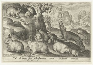 Rabbits, Squirrel, Guinea Pig, and Mouse by Nicolaes de Bruyn