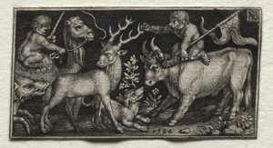 Monkeys Riding a Camel and a Bull