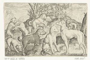 Nine Dogs by Nicolaes de Bruyn