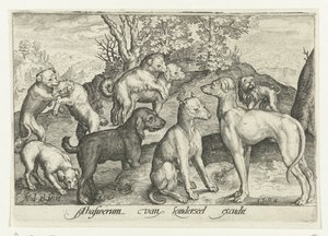 Nine Dogs by Nicolaes de Bruyn
