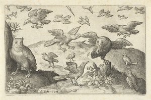 Owl with Prey Attacked by Other Birds by Nicolaes de Bruyn