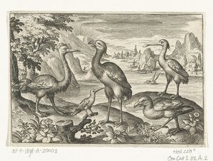 Five Birds Including Spoonbill by Nicolaes de Bruyn