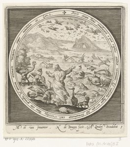 Fifth Day of Creation: God Creates Fish and Birds