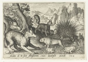 Wild Boar, Foxes, Beaver, Porcupine, and Frogs (Animalivm qvadrvpedvm series) (Animals in Landscapes series)