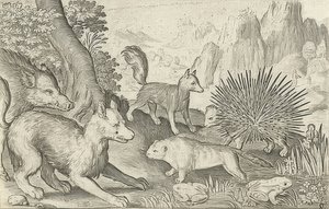 Wild Boar, Foxes, Beavers, Porcupine and Frogs. 1621 by Nicolaes de Bruyn