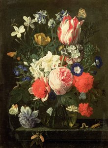 Unknown Image