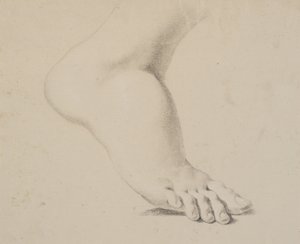 Study of a Foot