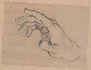 Study of a Hand