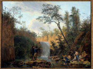 Expedition of a Botanist in South America
