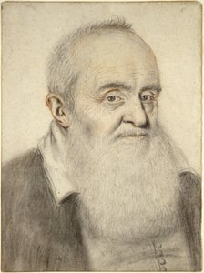 Head of a Bearded Man
