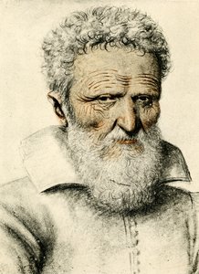 Portrait of an Old Man
