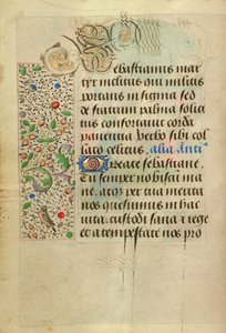 Decorated Text Page