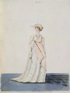Afternoon dress, fig. 303 from Nikolaus Heideloff