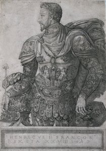 Henri II, King of France, at the Age of 28 by Nicolo della Casa