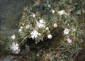 A study of Dog Roses, c.1900 by Niels Pieter Rasmussen