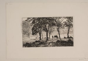The Avenue