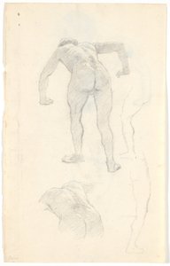 Model Study by Niels Skovgaard