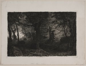 The Troll Forest