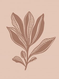 Natural Botanical Drawing by Nikita Jariwala