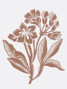 Rustic Floral Illustration by Nikita Jariwala