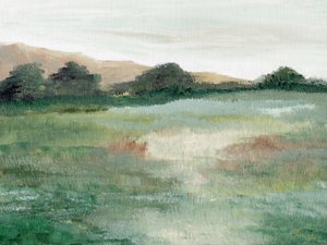 Soft Meadow Landscape