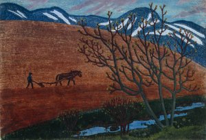 Plough night