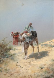 In the Desert