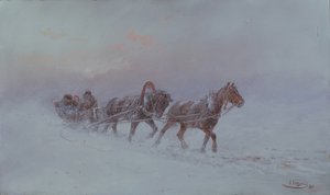 Snowstorm