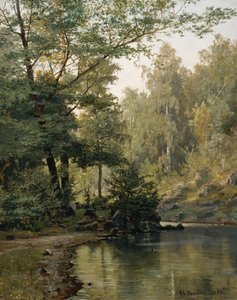 Forest Lake by Nils Hansteen