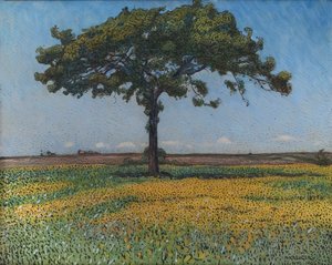 Young Oak by Nils Kreuger