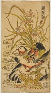 Mandarin Ducks, from the series "Kashinsai" by Nishimura Shigenaga