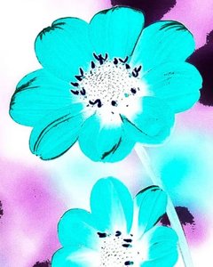 Blue Flower