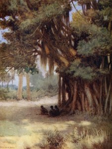 Beneath a Banyan Tree, Malekula Island, New Hebrides