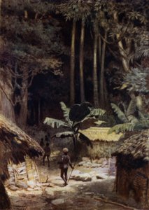 On the Fringe of a primaeval Forest, Solomon Islands