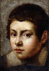 Head of a Boy by Northern Italian School
