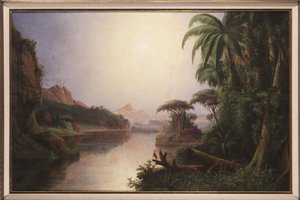 Tropical Landscape