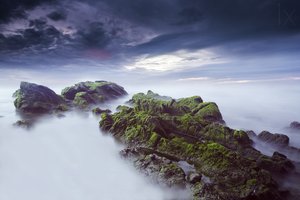 Ethereal Mossy Seascape