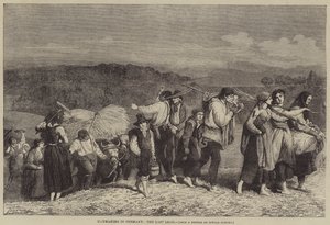Haymaking in Germany, the Last Load