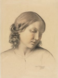 Portrait of a Young Woman