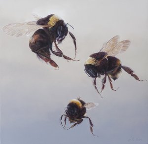 Bombus flight 1 by Odile Kidd