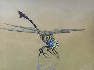 Dragon fly