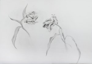 Estella rijnveld 3 by Odile Kidd