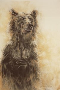 Grizzly Bear 1 by Odile Kidd