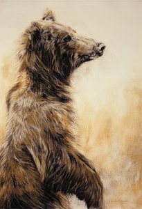 Grizzly Bear 2 by Odile Kidd