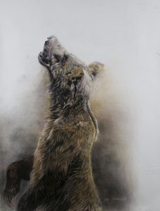 Grizzly Bear 3, 2009 by Odile Kidd