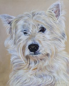 Hamish